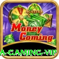 3aa Gaming VIP