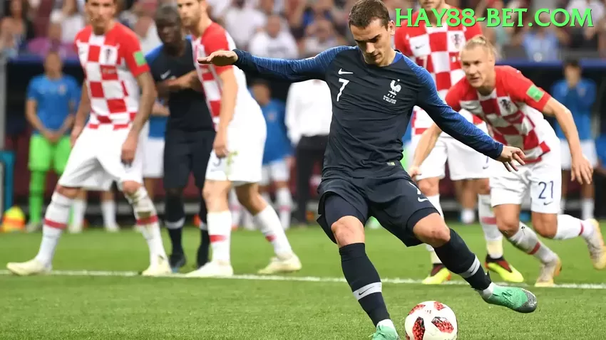 Como Funciona carvalhopg? Guia Completo e Atualizado - go