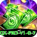 jzjz - Pro v1.0.7